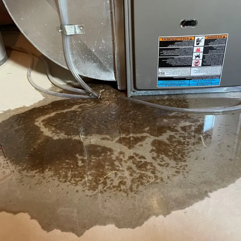 Pipe Burst and Leak Restoration in Chadron, NE